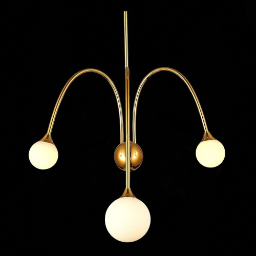 Настенный светильник ST Luce Vive SL1187.201.03 Настенный светильник ST Luce Vive SL1187.201.03