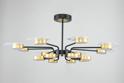 Потолочная светодиодная люстра Escada Halo 10211/SG LED