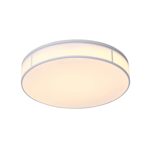 Потолочный светодиодный светильник ST Luce Fella SL417.502.01