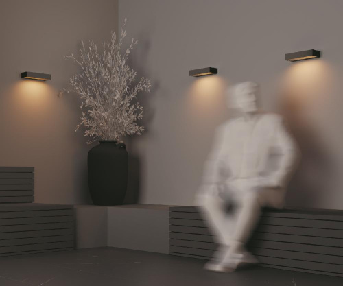 Настенный светильник (бра) Outdoor O428WL-L10GF3K