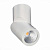 Светодиодный спот ST Luce ST650.542.10
