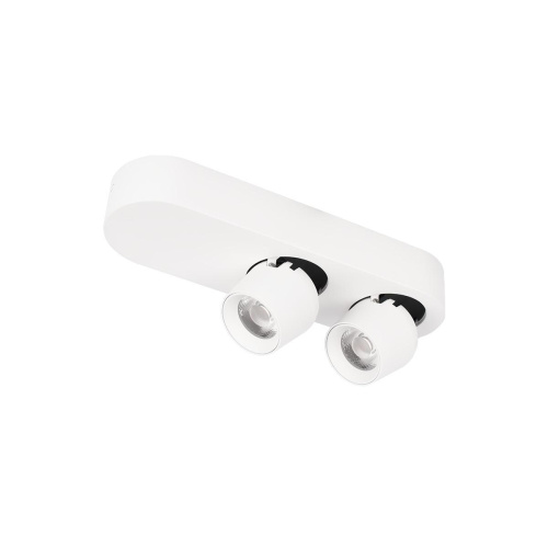 Спот Loft IT Quiet 10320/2 White Спот Loft IT Quiet 10320/2 White