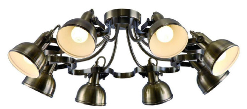 Потолочная люстра Arte Lamp Martin A5216PL-8AB