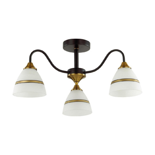 Потолочная люстра Lumion Comfi Nettie 5214/3C