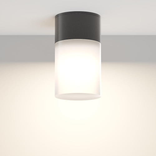Уличный светильник Maytoni Willis O418CL-01B