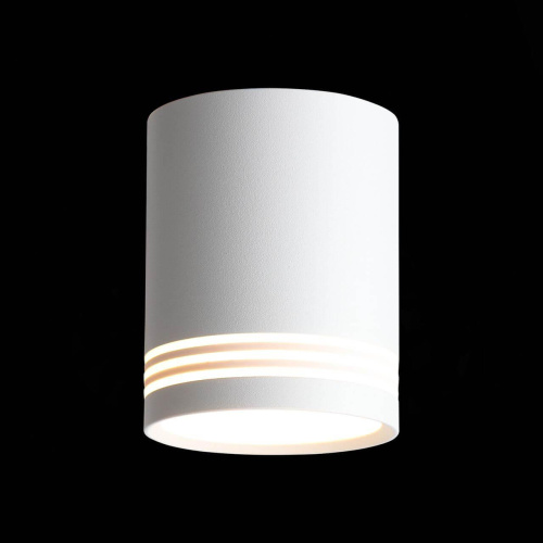 Потолочный светодиодный светильник ST Luce Cerione ST101.502.12