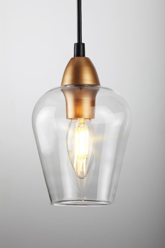 Подвесной светильник Rivoli Gera 5045-201 Б0050341