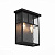 Уличный настенный светильник ST Luce Glazgo SL079.401.02
