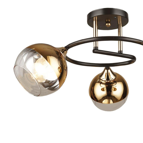 Потолочная люстра Wedo Light Ажелли 66395.01.15.03