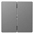 Клавиша двойная Schneider Electric Merten D-Life MTN3400-6036