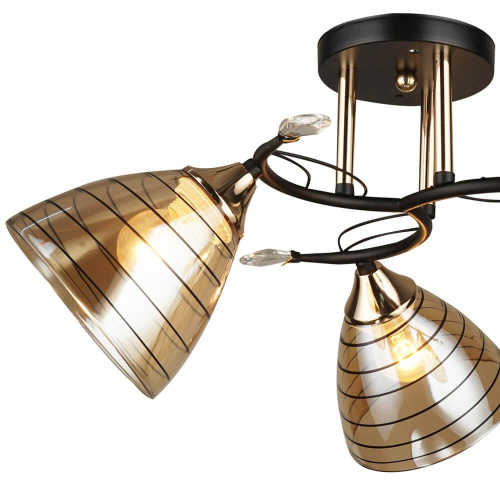 Потолочная люстра Wedo Light Бомпорто 66367.01.69.03