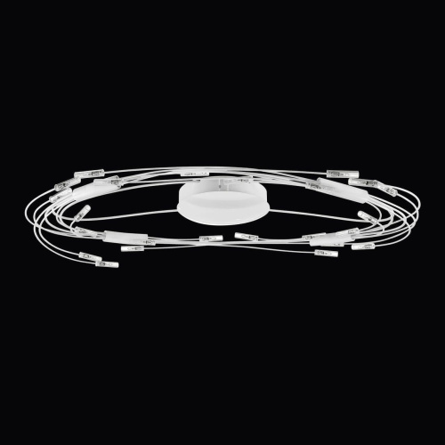 Потолочный светильник Lightstar Ovale 784246