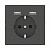 Розетка компьютерная USBx2 Schneider Electric Merten D-Life MTN2366-6034