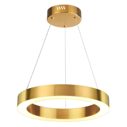 Подвесной светодиодный светильник Odeon Light Brizzi 3885/25LG Подвесной светодиодный светильник Odeon Light Brizzi 3885/25LG