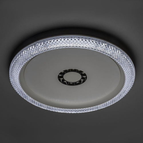 Потолочный светодиодный светильник Ritter Galassia 51577 1