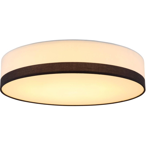 Потолочный светодиодный светильник Globo Maggy 15385D2 Потолочный светодиодный светильник Globo Maggy 15385D2