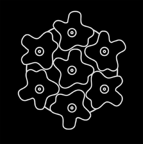 Потолочная люстра Lightstar Nubi 802070 Потолочная люстра Lightstar Nubi 802070