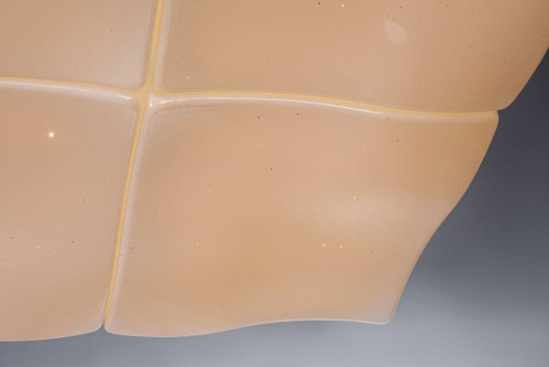 Потолочный светодиодный светильник Escada 10241/4LED Потолочный светодиодный светильник Escada 10241/4LED