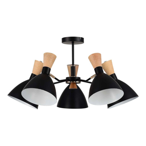 Потолочная люстра Evoluce Vista SLE1256-402-05