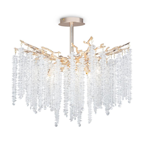 Потолочный светильник Freya FR1010CL-08G