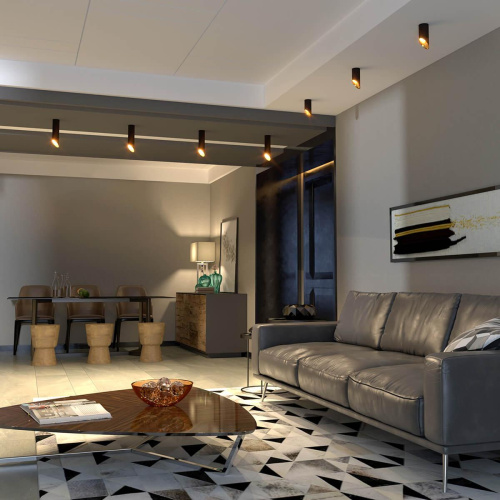 Потолочный светильник Elektrostandard DLN114 GU10 черный/золото a050120 Потолочный светильник Elektrostandard DLN114 GU10 черный/золото a050120