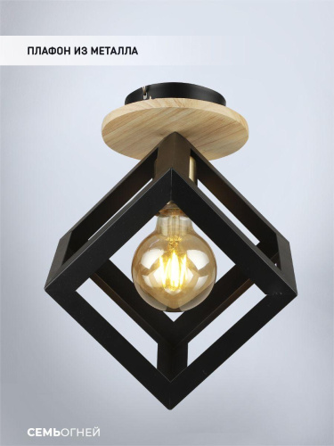 Потолочный светильник Seven Fires Aydana WD3570/1C-BK Потолочный светильник Seven Fires Aydana WD3570/1C-BK